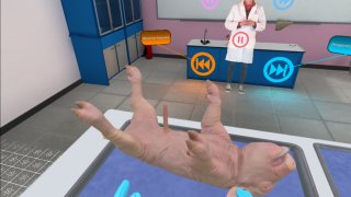 VR Pig Dissection: Hoggin' the Scalpel (itch)