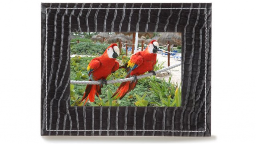 Фоторамка с поддержкой MMS от Parrot Фоторамка с поддержкой MMS от Parrot