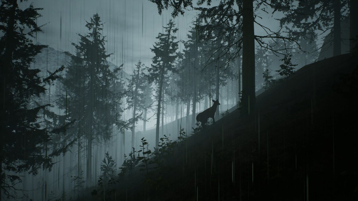 Вегетарианцы на охоте: анонсирована Morels: The Hunt