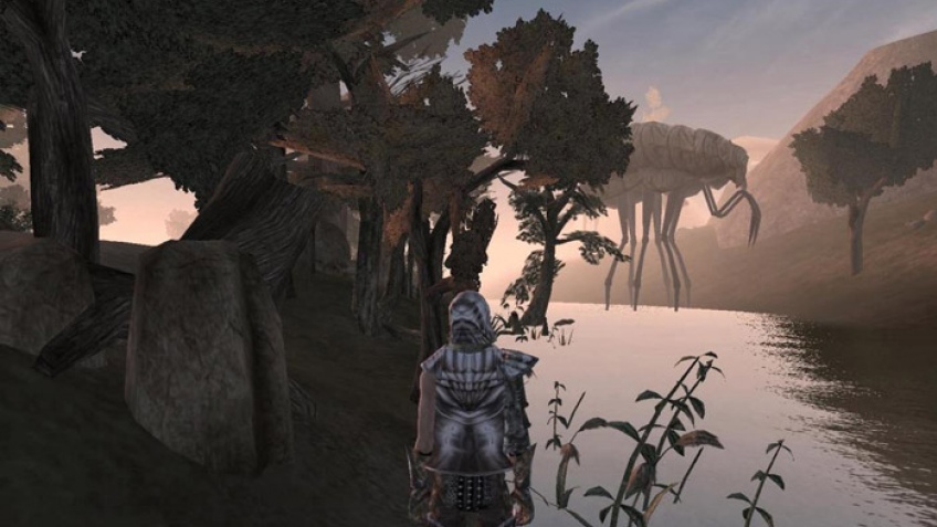 Идеи Morrowind возродятся в Skyrim