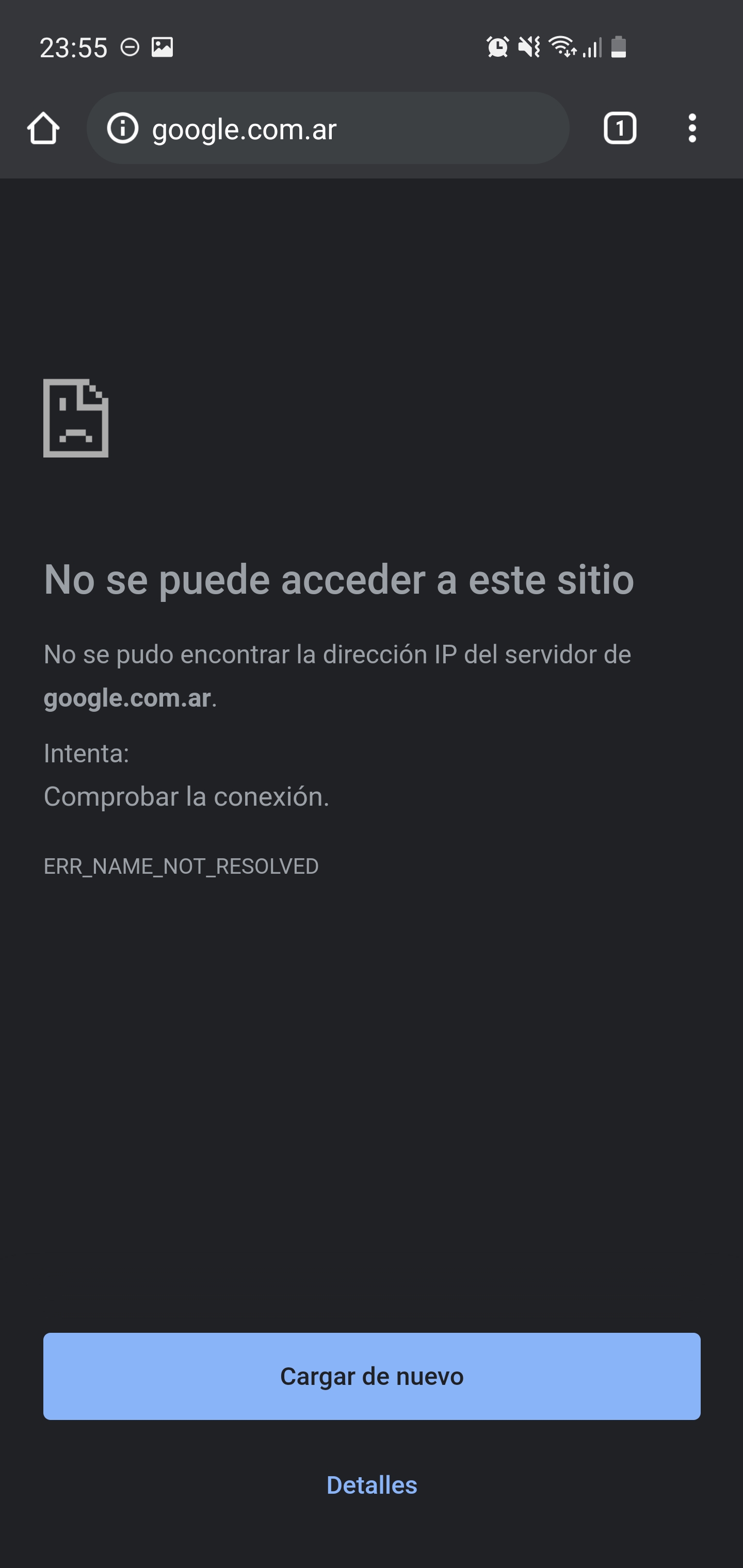 Это то, что в течение нескольких часов видели жители Аргентины на сайте Google