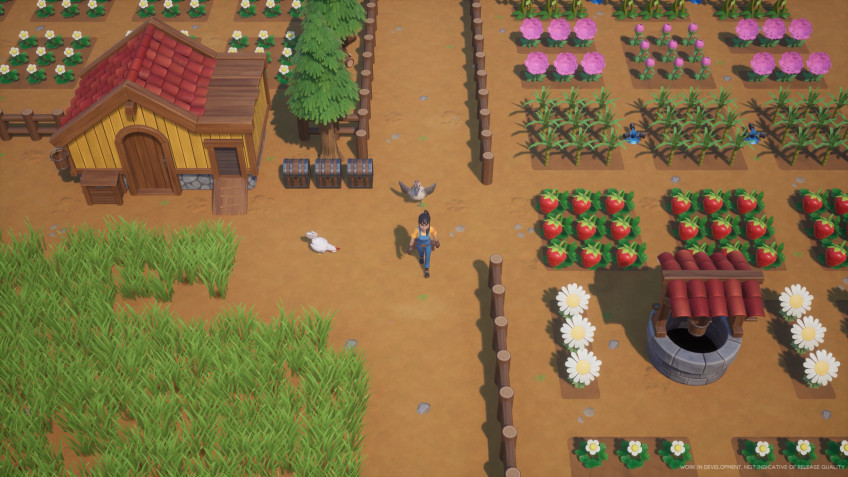 Симулятор фермы Coral Island выходит на Kickstarter в феврале