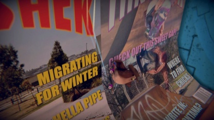 SkateBIRD не взяли в Epic Games Store, потому что её авторы не отказались от Steam