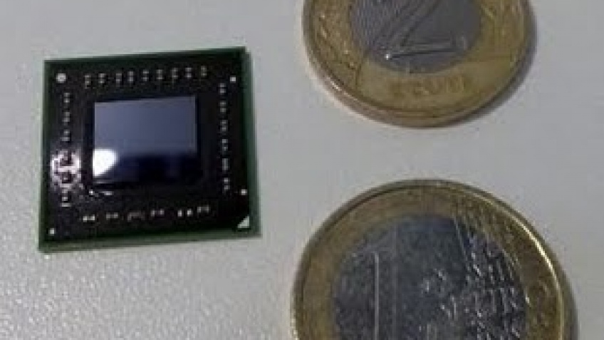 AMD готовит релиз двух процессоров Zacate