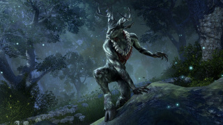 Ключи для The Elder Scrolls Online и других игр Bethesda появились на «Фогейме»