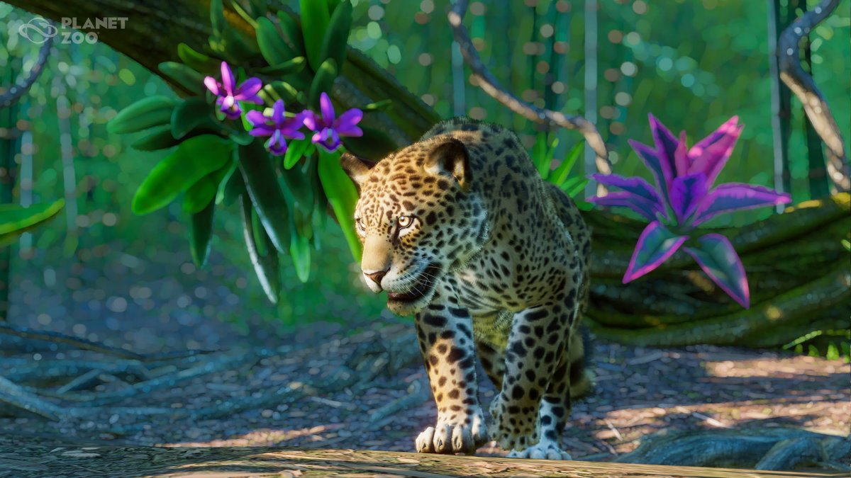 For Planet Zoo Are Preparing The Expansion Of South America Pack Review Freemmorpg Top