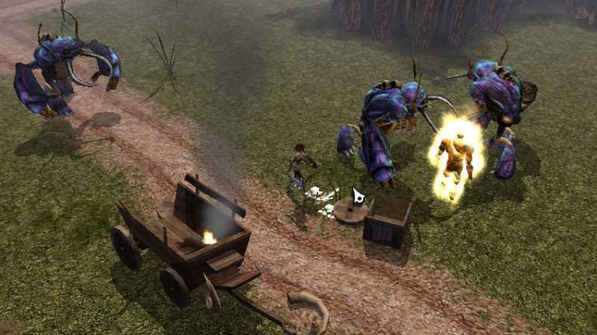 Платиновая Neverwinter Nights Платиновая Neverwinter Nights