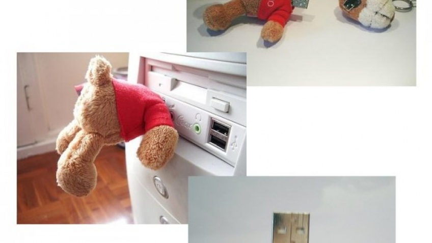 USB-медведь USB-медведь