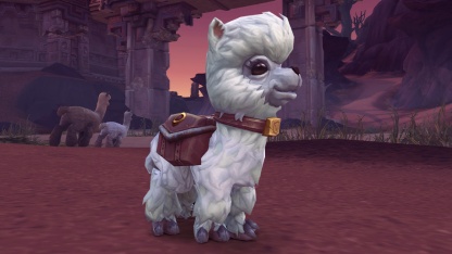 Blizzard выпустила нового «благотворительного» питомца для World of Warcraft