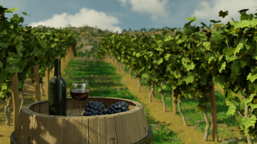 В Winery Simulator нам позволят продегустировать приготовленное вино