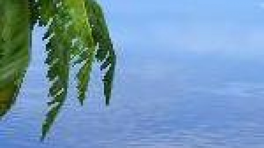 Первая DirectX 10 игра