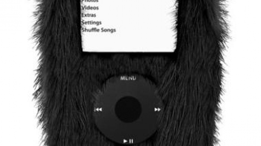Шкура для iPod Шкура для iPod