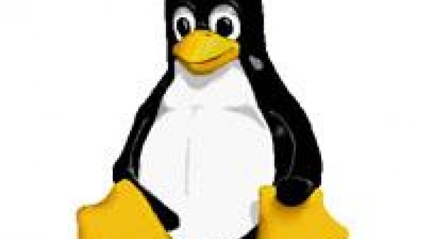 IBM посодействует отказу от Windows