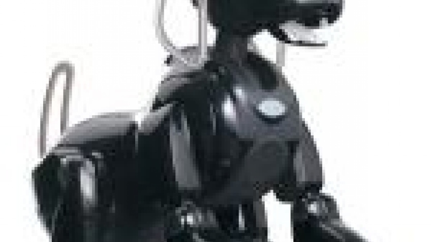 Sony прекращает проект AIBO Sony прекращает проект AIBO