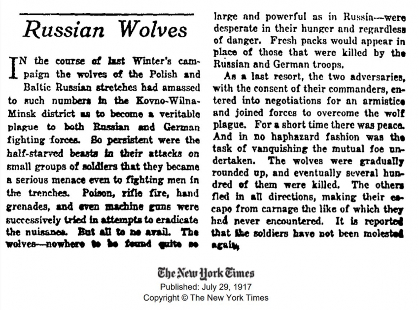 Заметка из газеты New York Times от 29 июля 1917 года