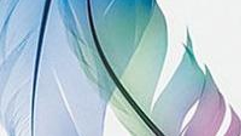 Adobe расширяет функционал Photoshop Adobe расширяет функционал Photoshop