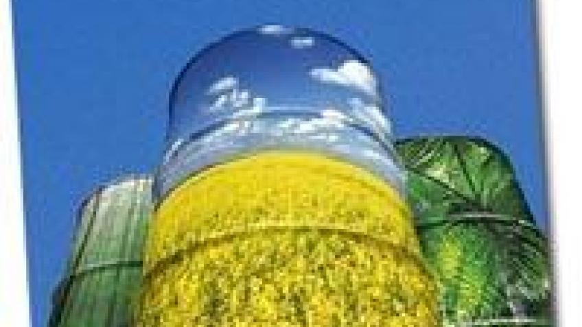Отходы ферм можно переработать в топливо Отходы ферм можно переработать в топливо