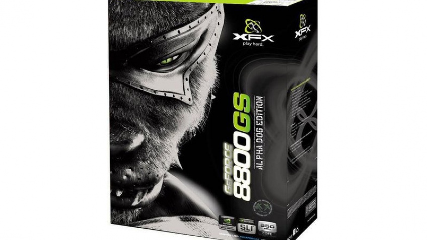 XFX прокачала GeForce 8800 GS XFX прокачала GeForce 8800 GS