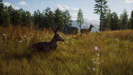 Охотничье приключение Way of the Hunter выходит в августе