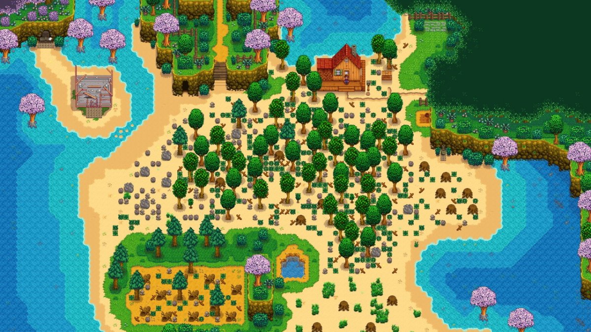 Stardew valley черная слива где находится